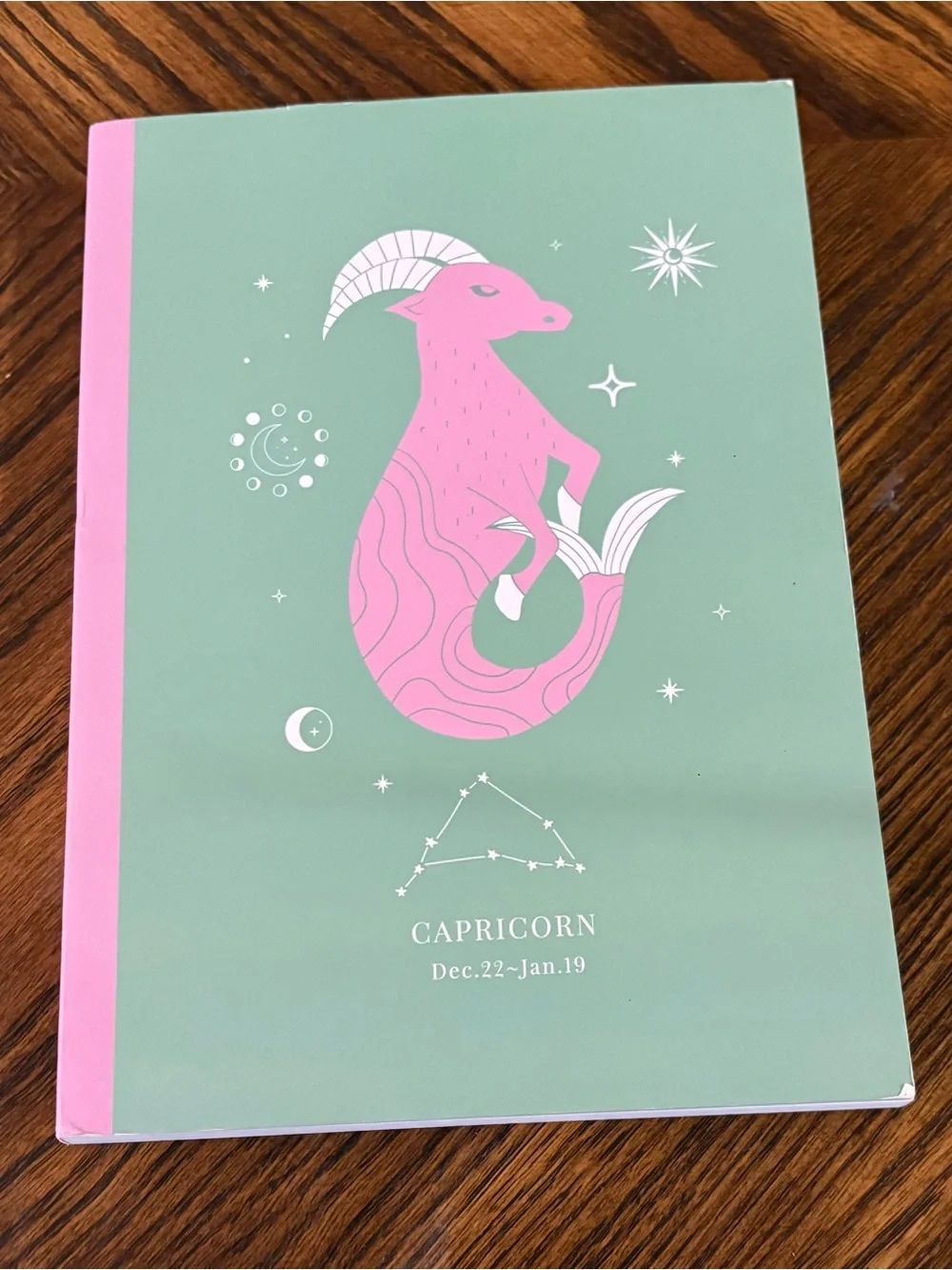 Capricorn Pink & Mint Journal Notebook - NEW